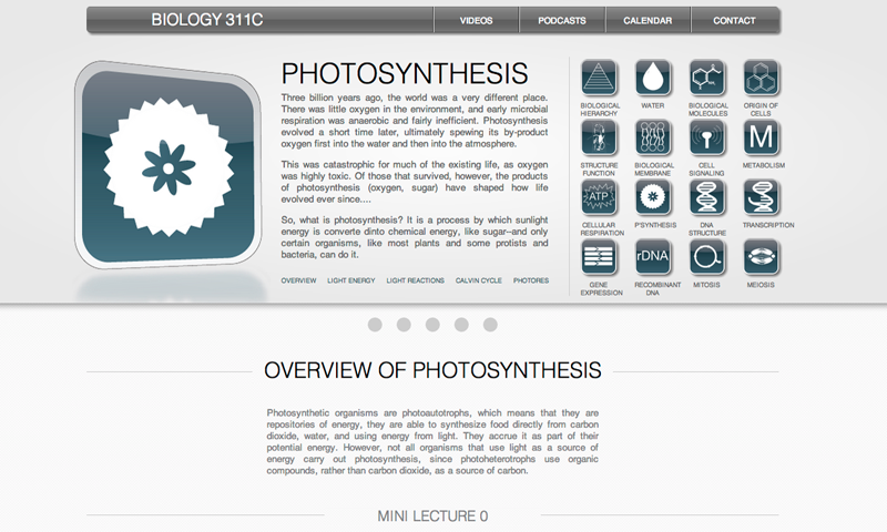Screenshot of Photosynthesis Prototype